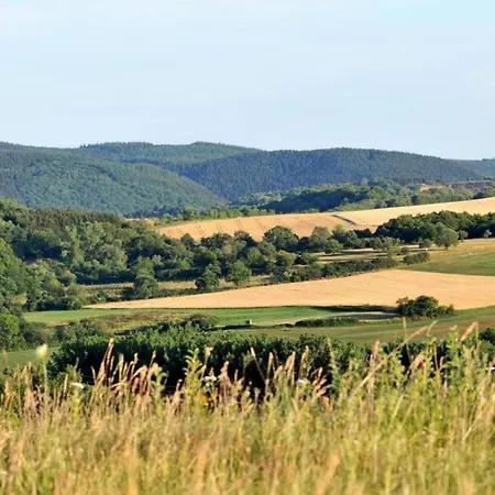 In Eifel Near Forest And Mountains * Kopp