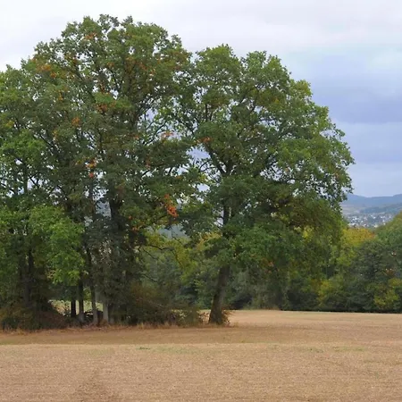 Holiday home In Eifel Near Forest And Mountains *