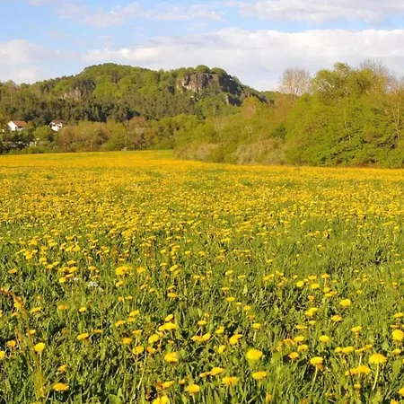 In Eifel Near Forest And Mountains Holiday home *