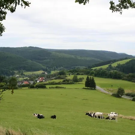 In Eifel Near Forest And Mountains Kopp