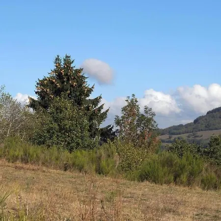 In Eifel Near Forest And Mountains