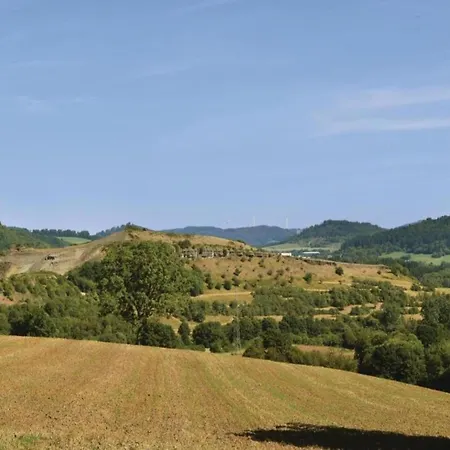 In Eifel Near Forest And Mountains Holiday home