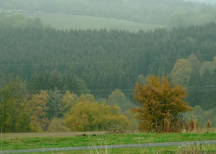 In Eifel Near Forest And Mountains Kopp